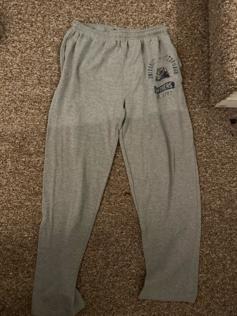 J. America Gray University Sweatpants with Panthers Logo